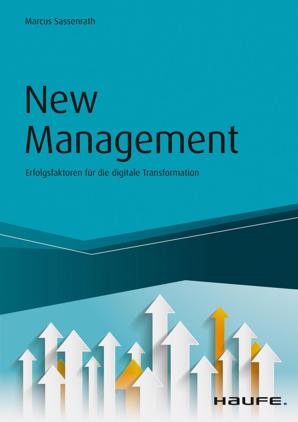 Big bigCover of New Management