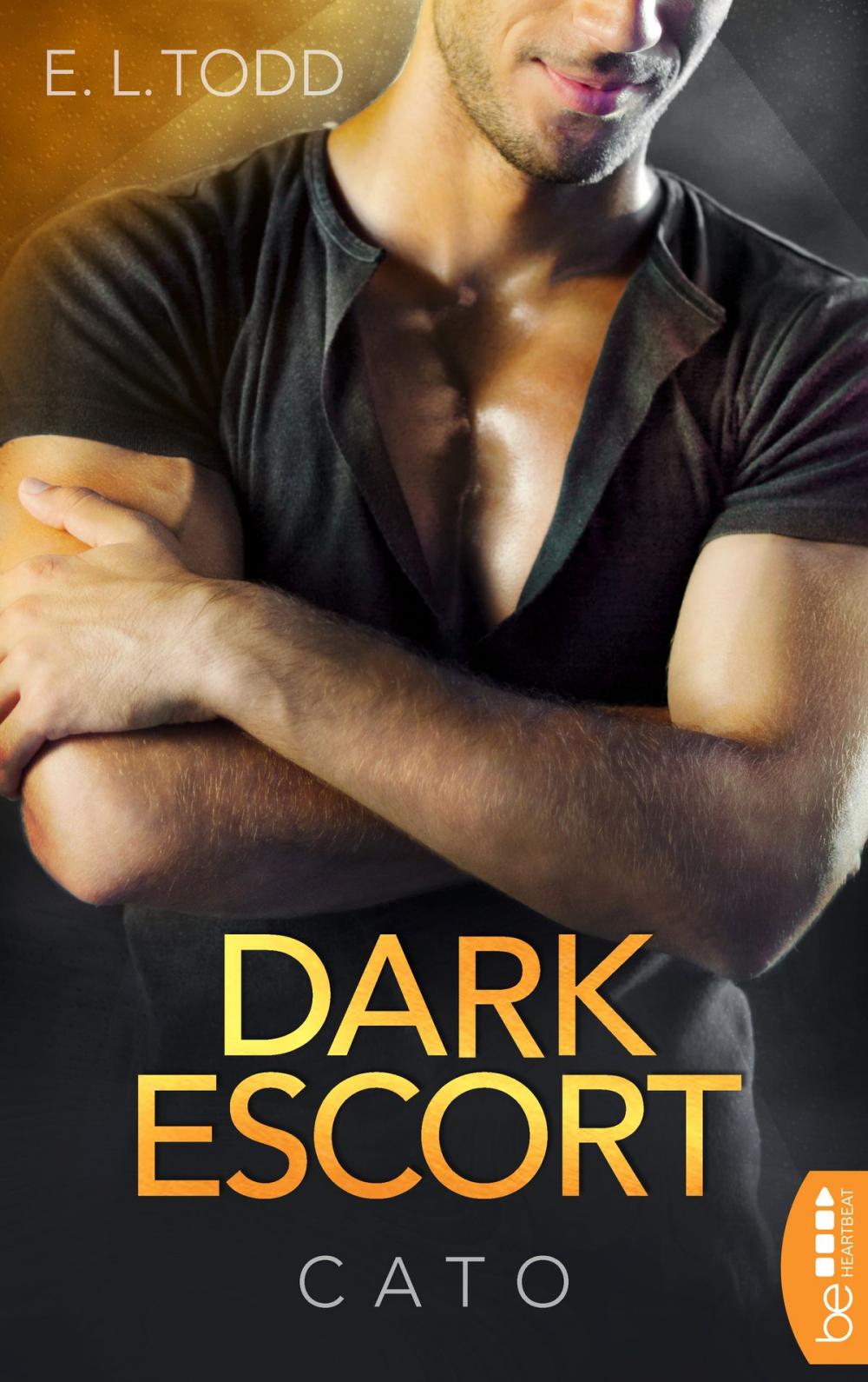 Big bigCover of Dark Escort