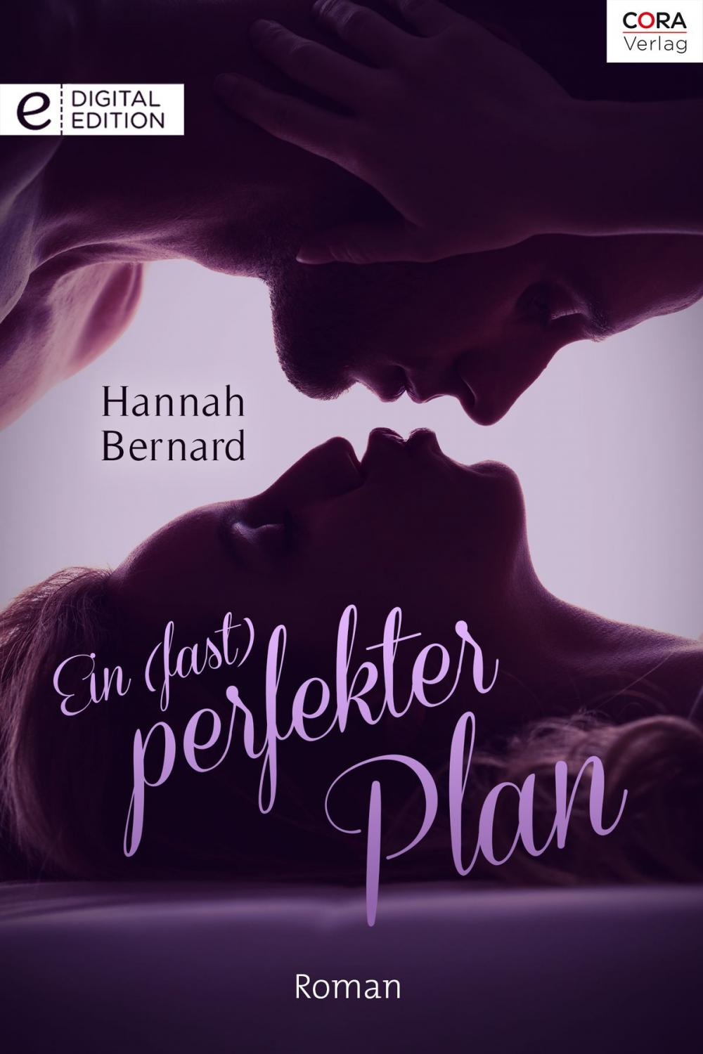 Big bigCover of Ein (fast) perfekter Plan