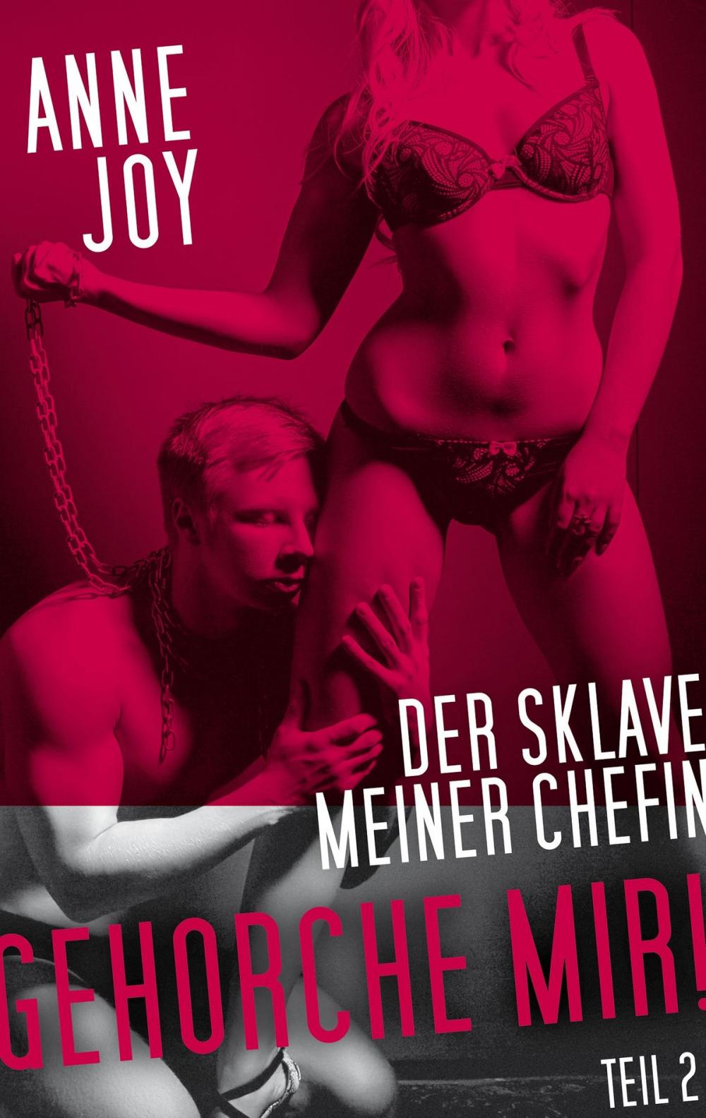 Big bigCover of Der Sklave meiner Chefin