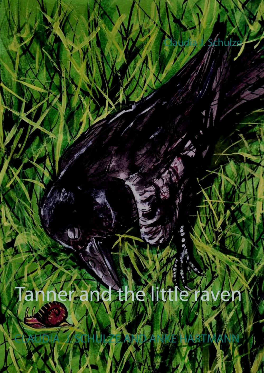 Big bigCover of Tanner and the little raven