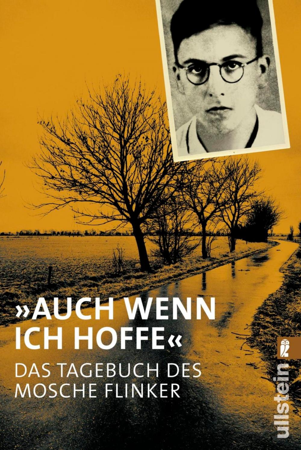 Big bigCover of "Auch wenn ich hoffe" - Das Tagebuch von Mosche Flinker