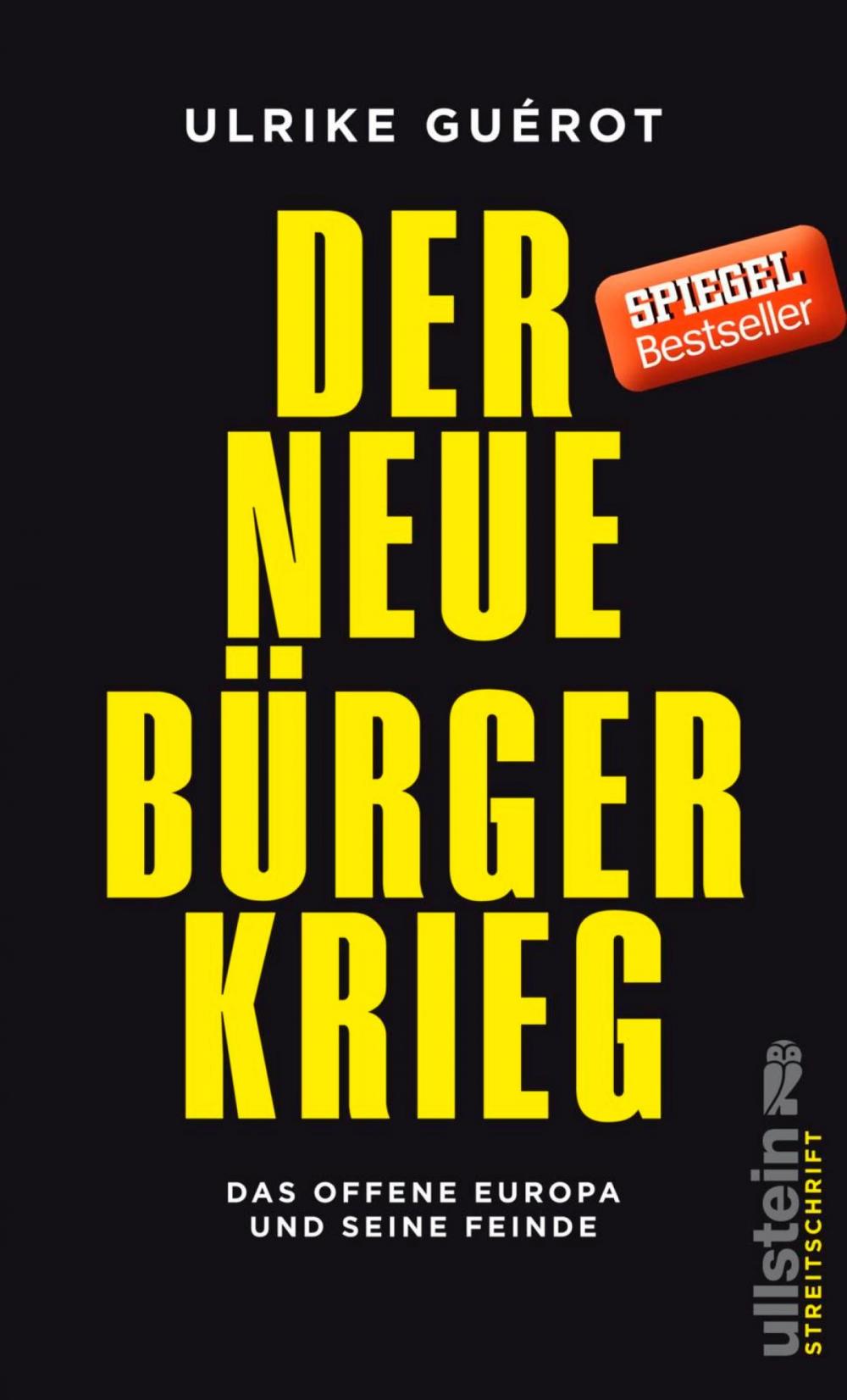 Big bigCover of Der neue Bürgerkrieg