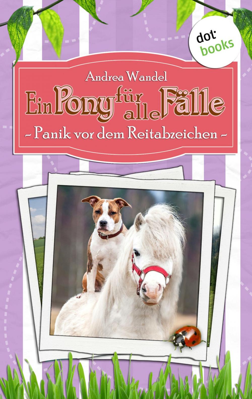 Big bigCover of Ein Pony für alle Fälle - Neunter Roman: Panik vor dem Reitabzeichen