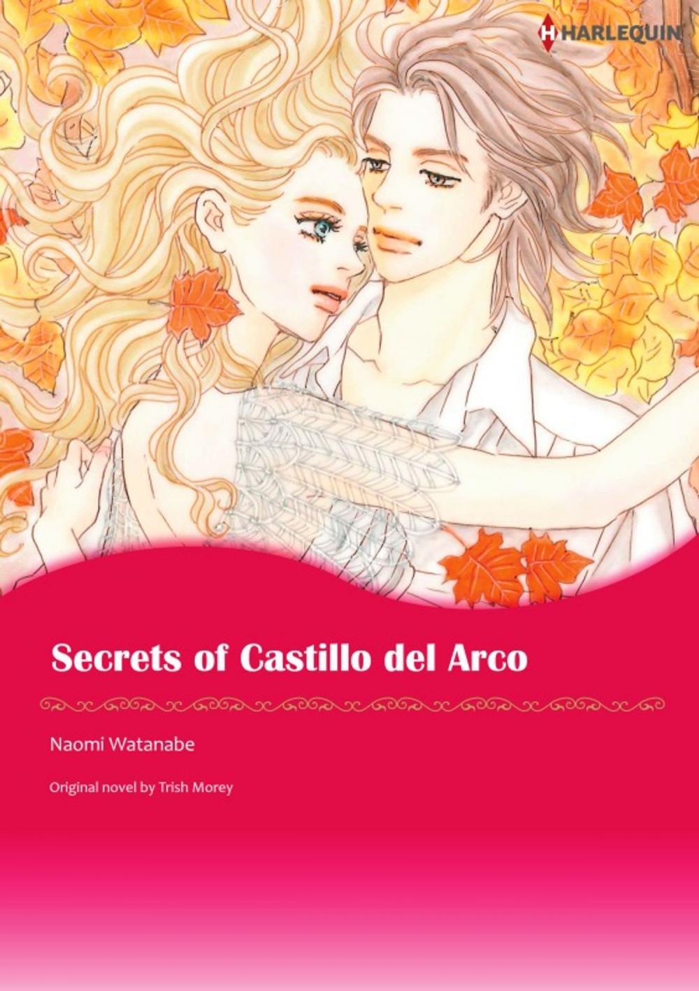 Big bigCover of SECRETS OF CASTILLO DEL ARCO