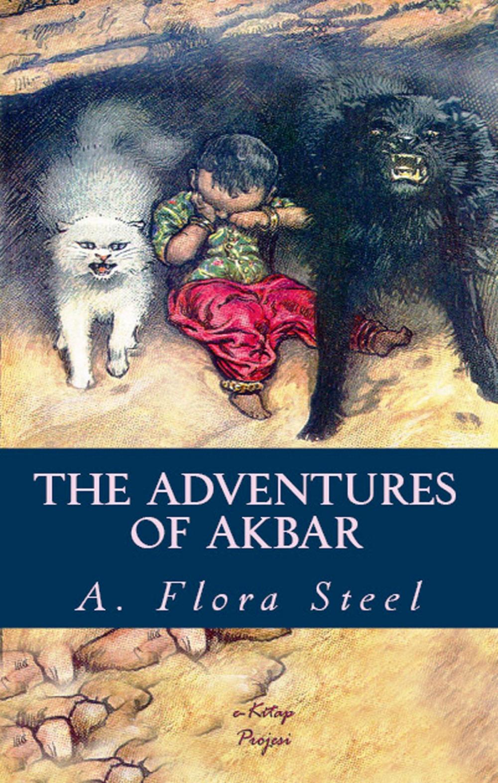 Big bigCover of The Adventures of Akbar