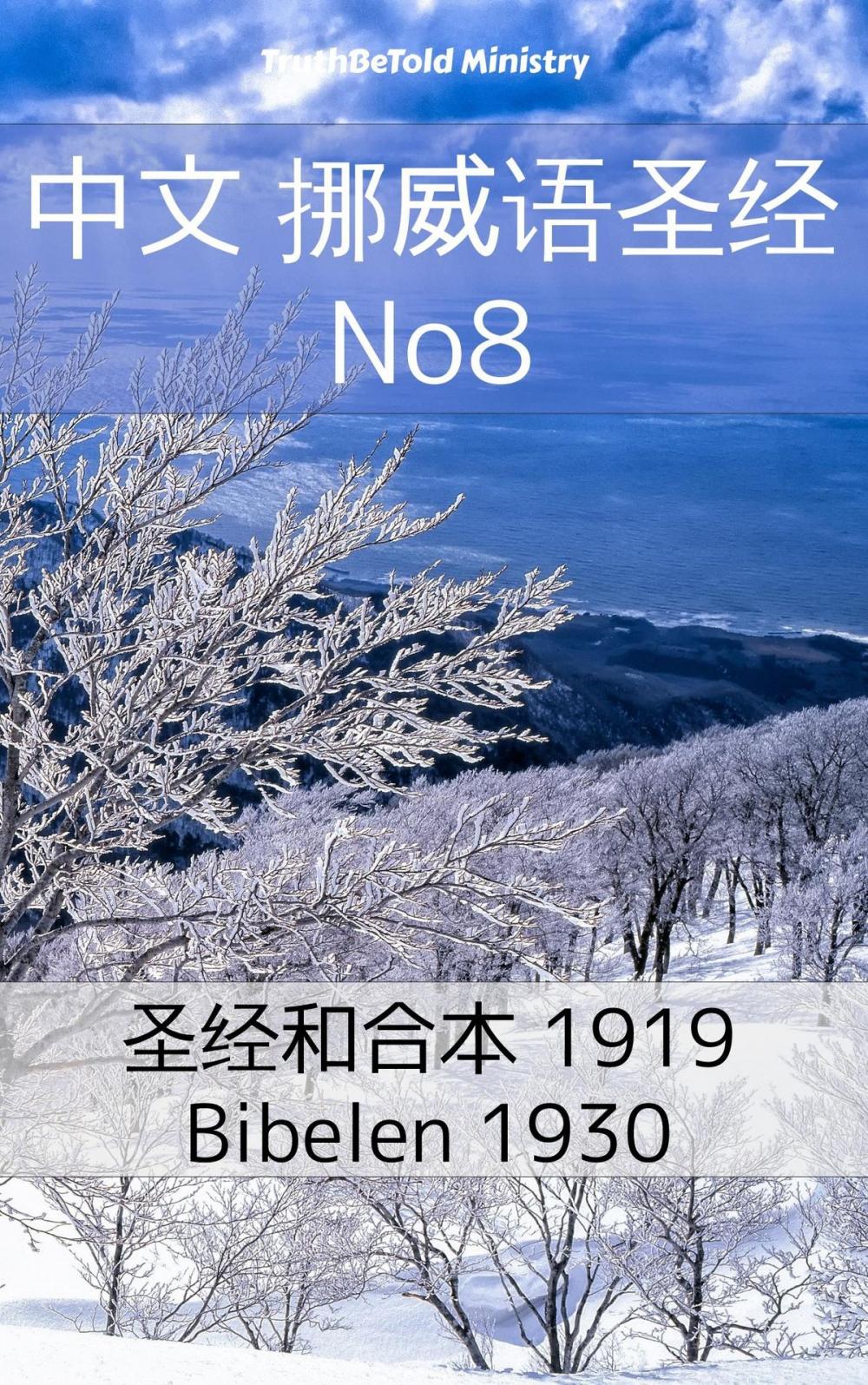 Big bigCover of 中文 挪威语圣经 No8