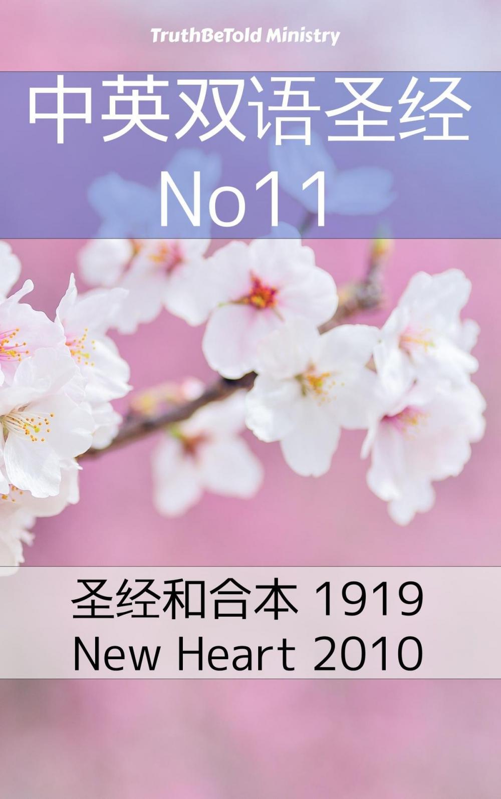 Big bigCover of 中英双语圣经 No11