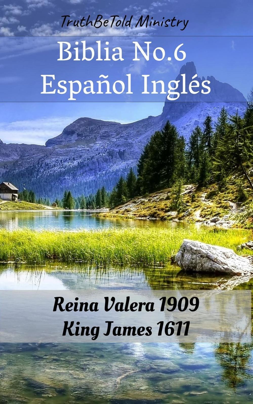 Big bigCover of Biblia No.6 Español Inglés