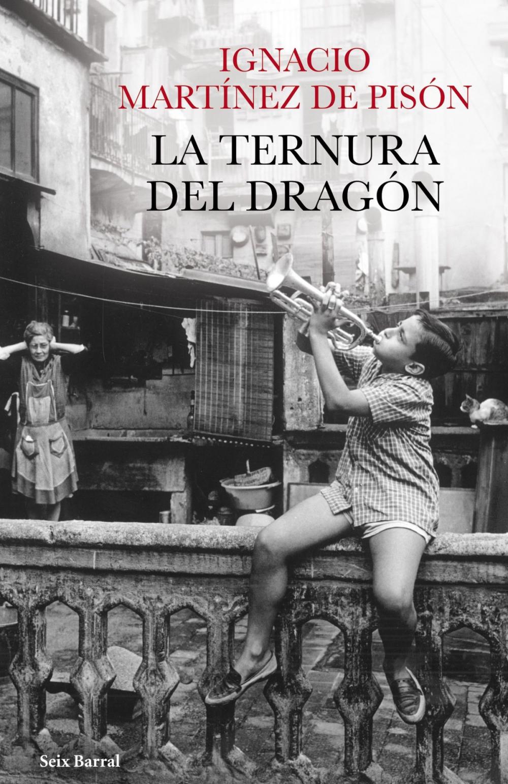 Big bigCover of La ternura del dragón