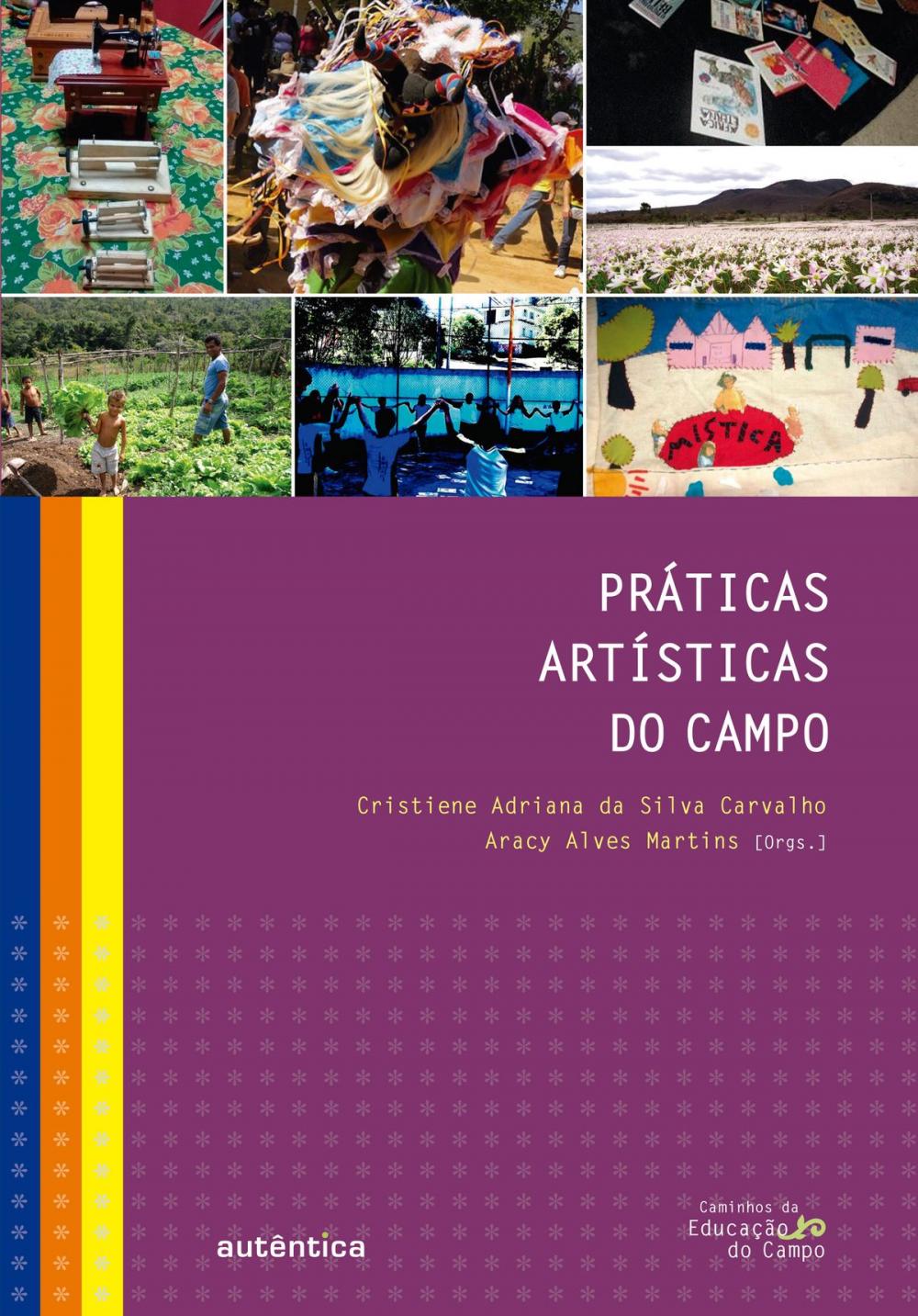 Big bigCover of Práticas artísticas do campo