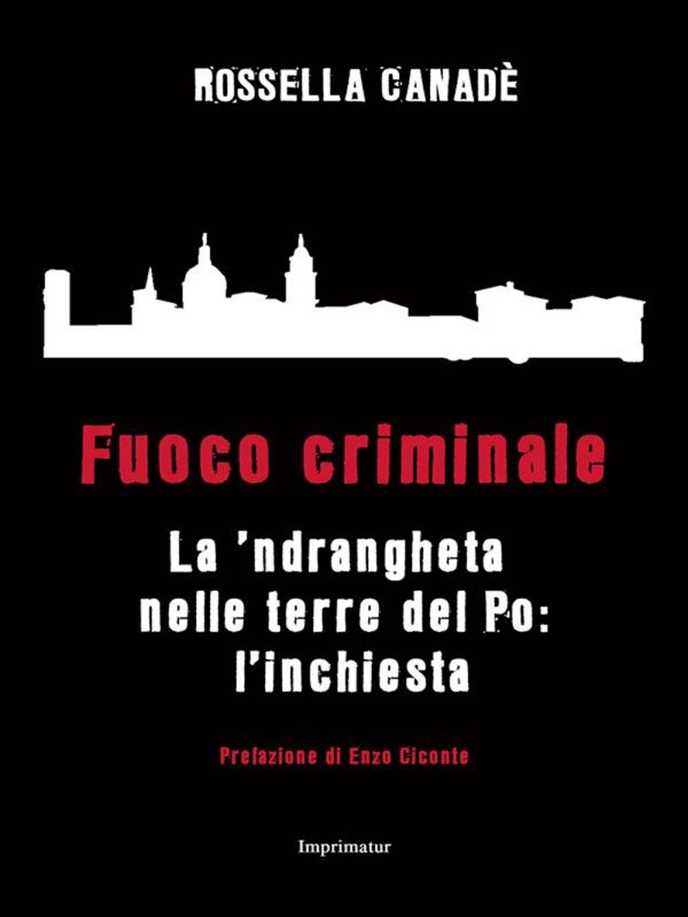 Big bigCover of Fuoco criminale