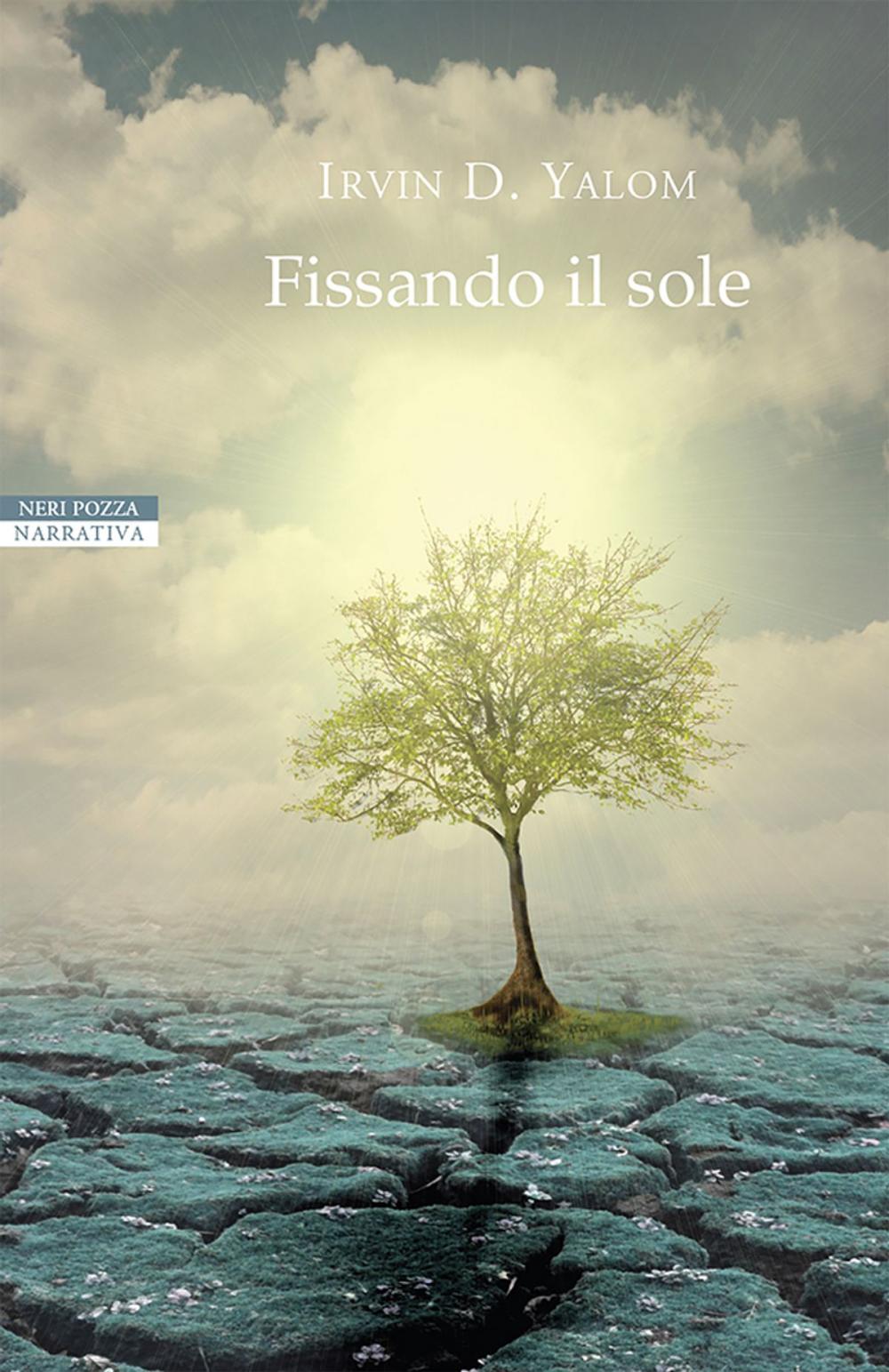 Big bigCover of Fissando il sole