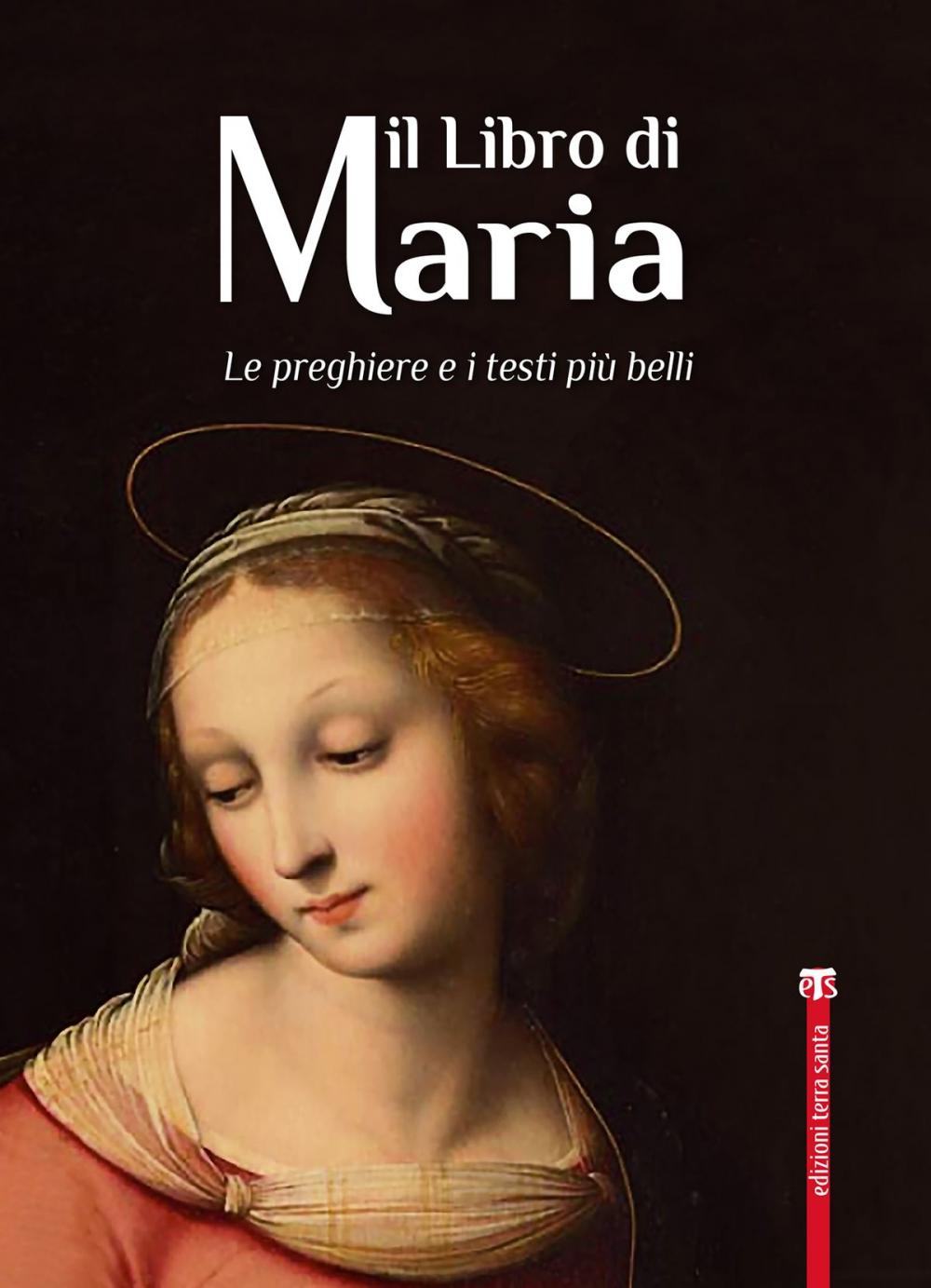 Big bigCover of Il Libro di Maria