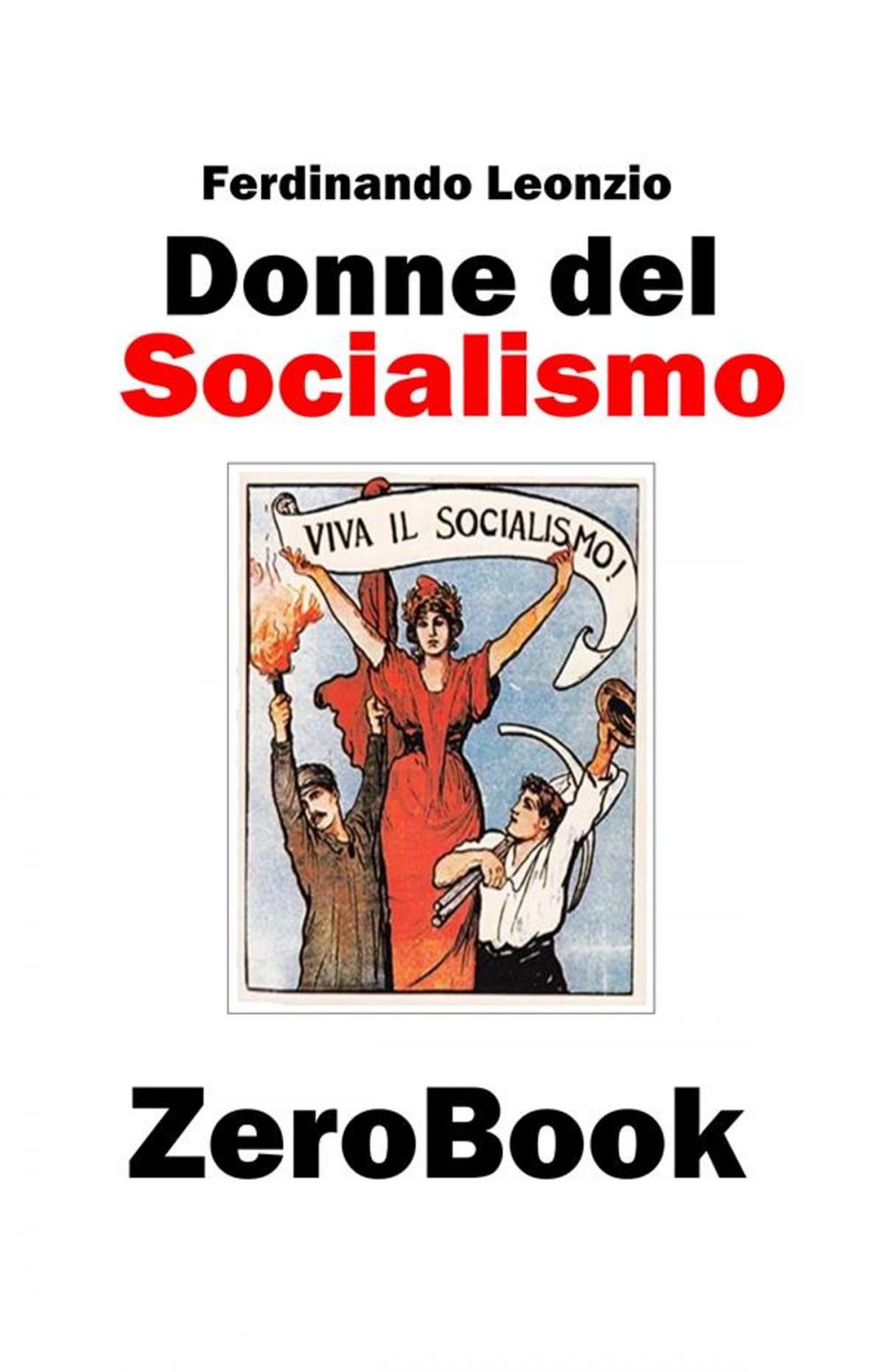 Big bigCover of Donne del socialismo