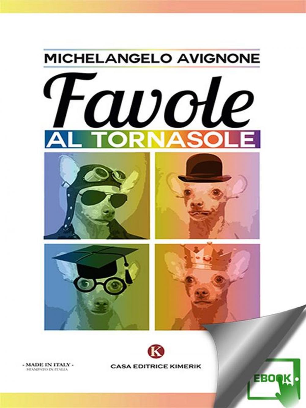 Big bigCover of Favole al tornasole