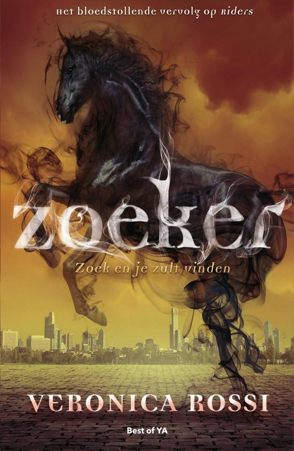 Big bigCover of Zoeker