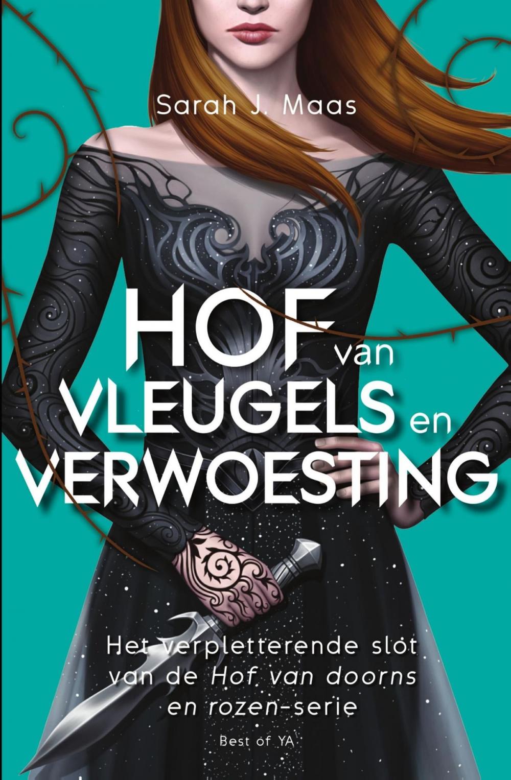 Big bigCover of Hof van vleugels en verwoesting