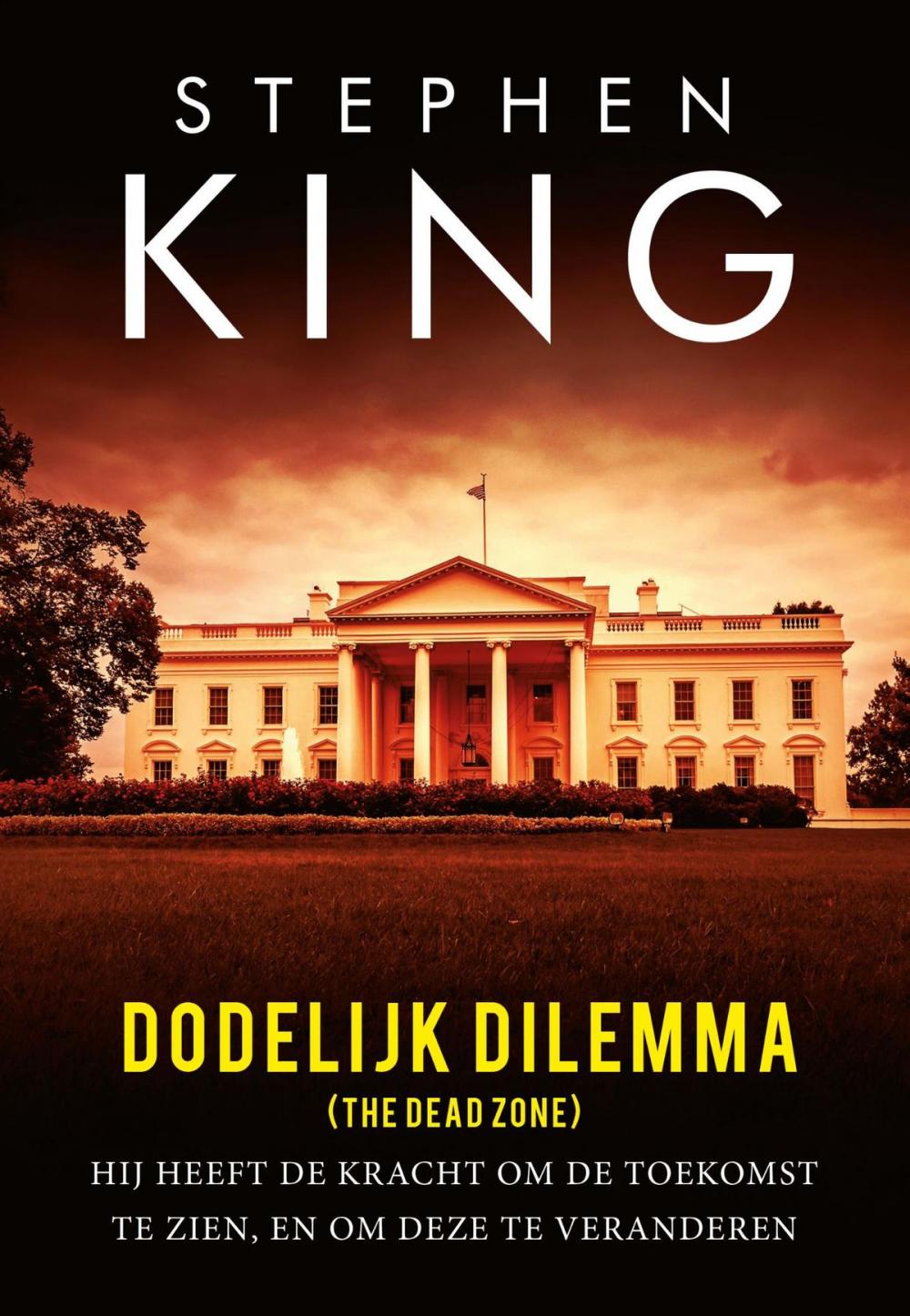 Big bigCover of Dodelijk dilemma