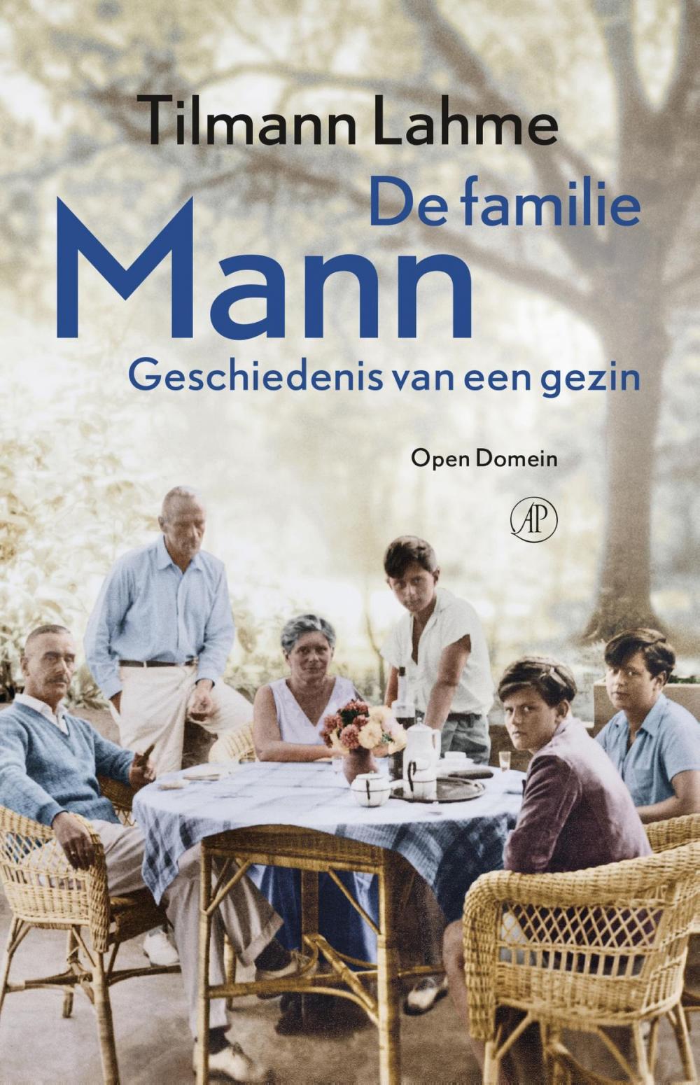 Big bigCover of De familie Mann