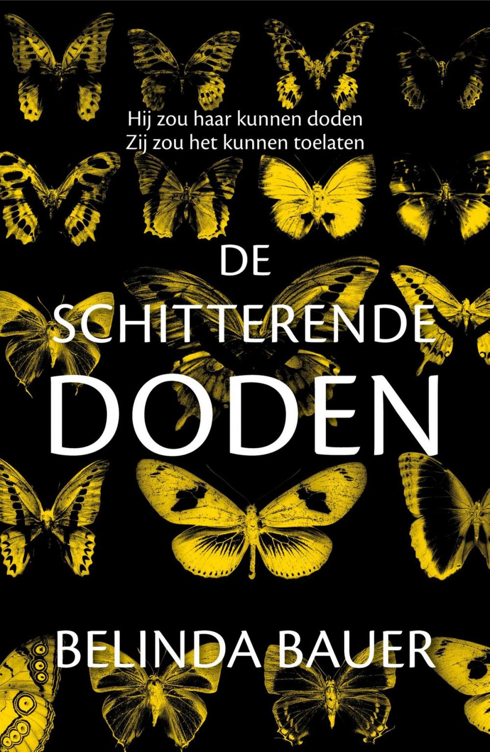 Big bigCover of De schitterende doden