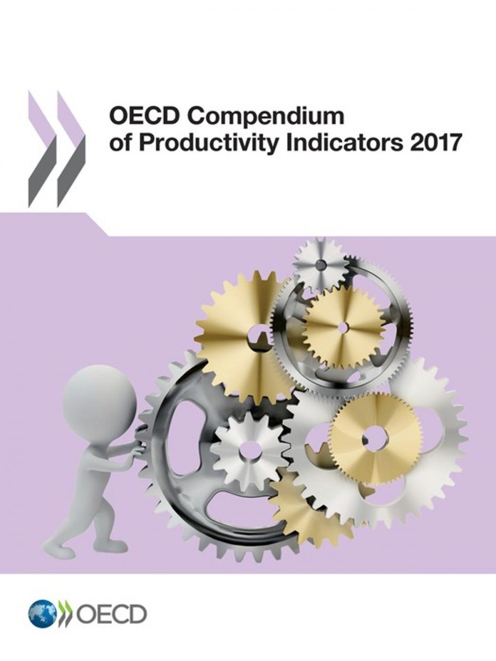 Big bigCover of OECD Compendium of Productivity Indicators 2017