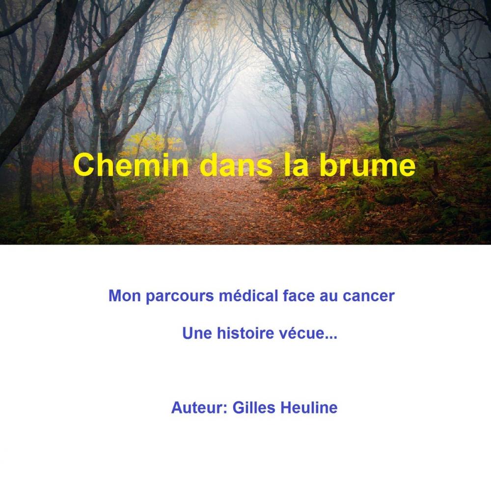 Big bigCover of CHEMIN DANS LA BRUME