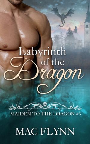 Cover of the book Labyrinth of the Dragon by Cristina Pereyra