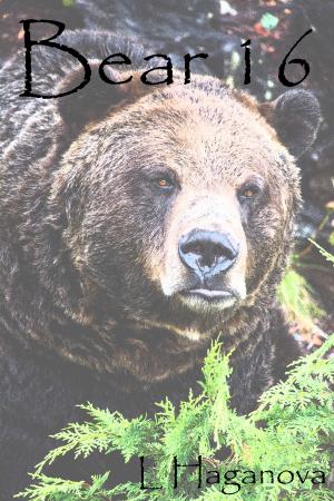 Cover of Bear 16