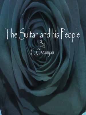 Cover of the book The Sultan and his People by Richard Harding Davis