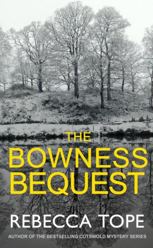 Cover of the book The Bowness Bequest by Alanna Knight
