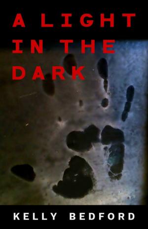 Cover of the book A Light in the Dark by Kit Campbell, Siri Paulson