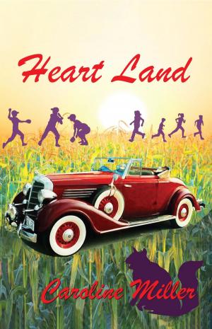 Book cover of Heart Land