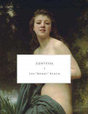 Cover of the book Contessa by Dr. Judy Barrett