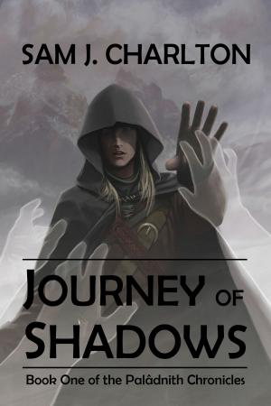bigCover of the book Journey of Shadows (The Palâdnith Chronicles Book 1) by 