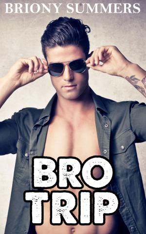 bigCover of the book Bro Trip by 