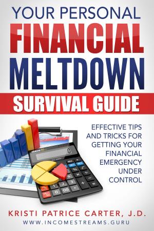 Cover of Your Personal Financial Meltdown Survival Guide: Effective Tips and Tricks for Getting Your Financial Emergency Under Control