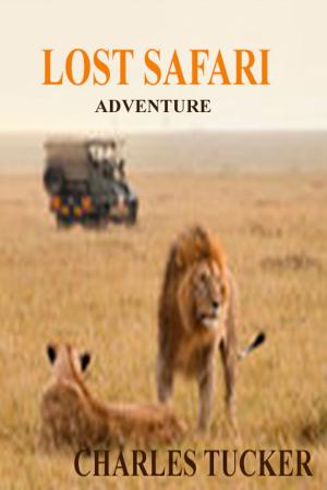 Book cover of The Lost Safari