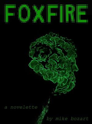Cover of the book Foxfire by C.K. Wiles