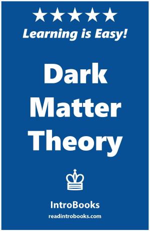 Cover of the book Dark Matter Theory by Eugen Reichl, Peter Schramm, Stefan Schiessl