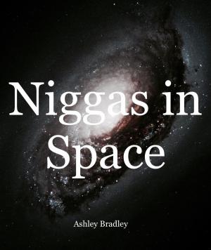 Book cover of Niggas in Space