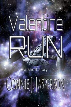 Book cover of Valentine Run