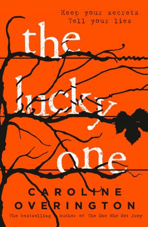 bigCover of the book The Lucky One by 