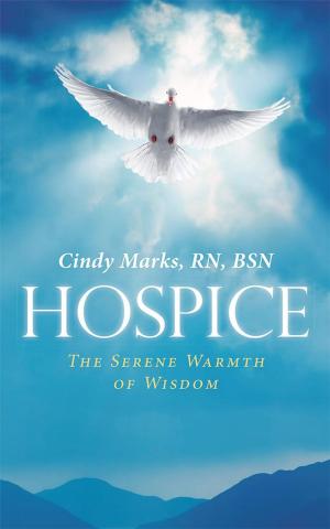 Cover of the book Hospice by Ted Atoka