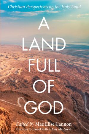 Cover of the book A Land Full of God by James L. Papandrea