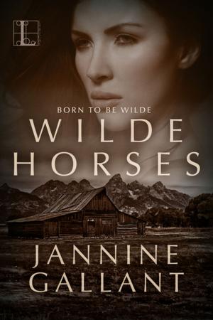 Cover of the book Wilde Horses by DJ Swykert