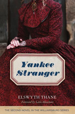 Book cover of Yankee Stranger