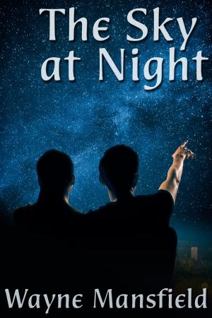 Cover of the book The Sky at Night by Thea Hayworth