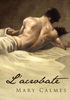 Cover of the book L'acrobate by J.P. Barnaby