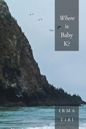 Cover of Where is Baby K?
